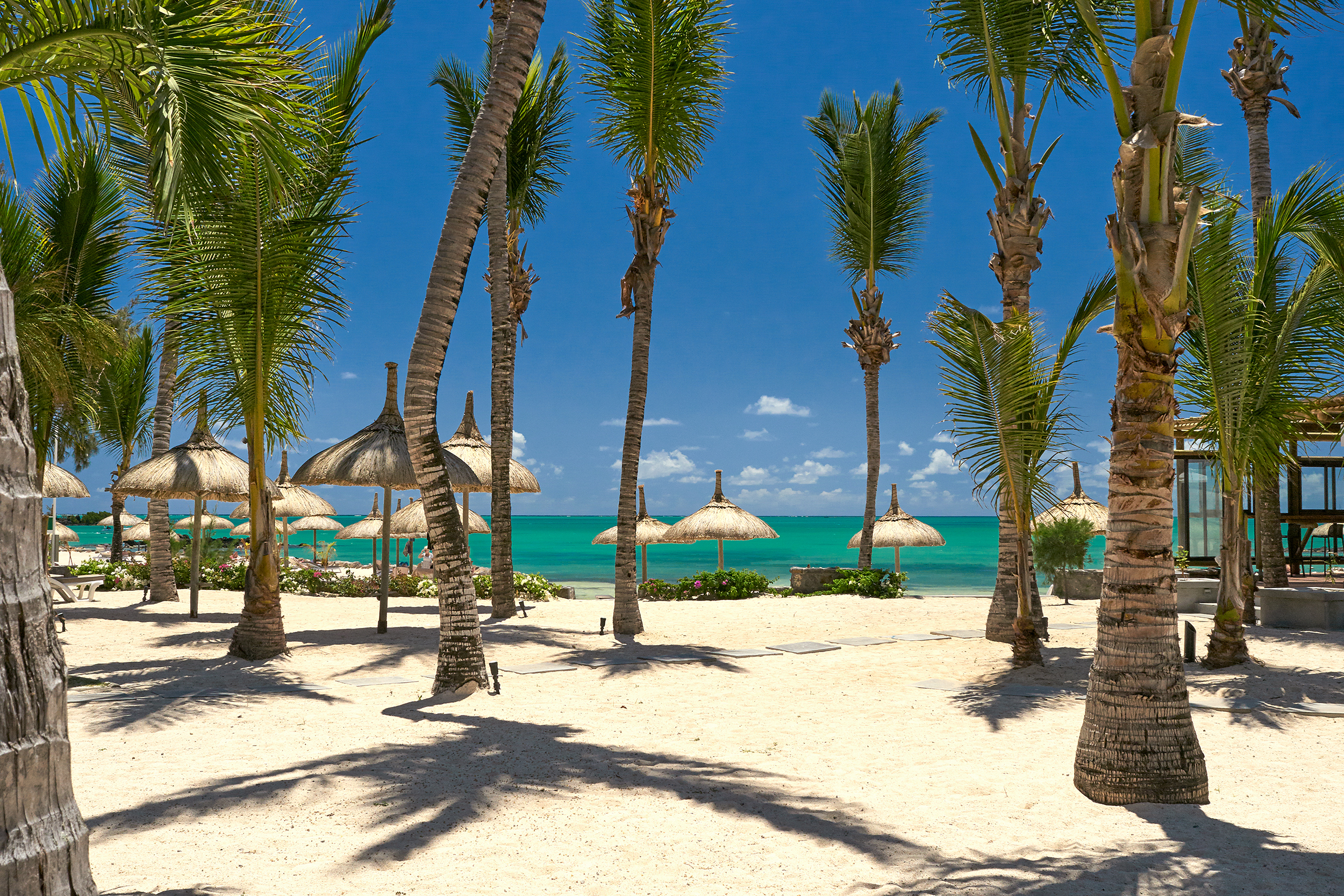 LA_Beach_plage 04.jpg