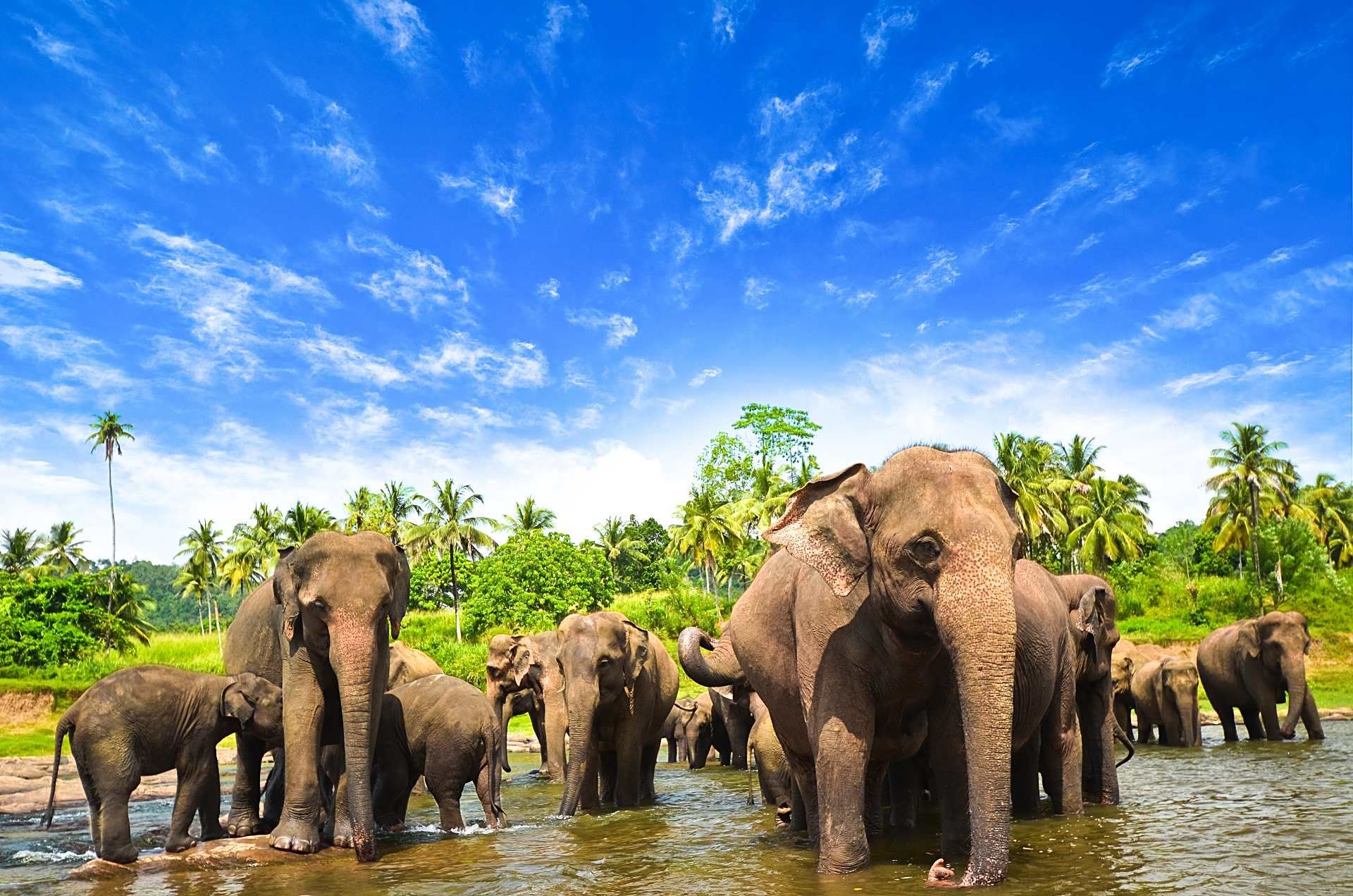 sri-lanka-1.jpg